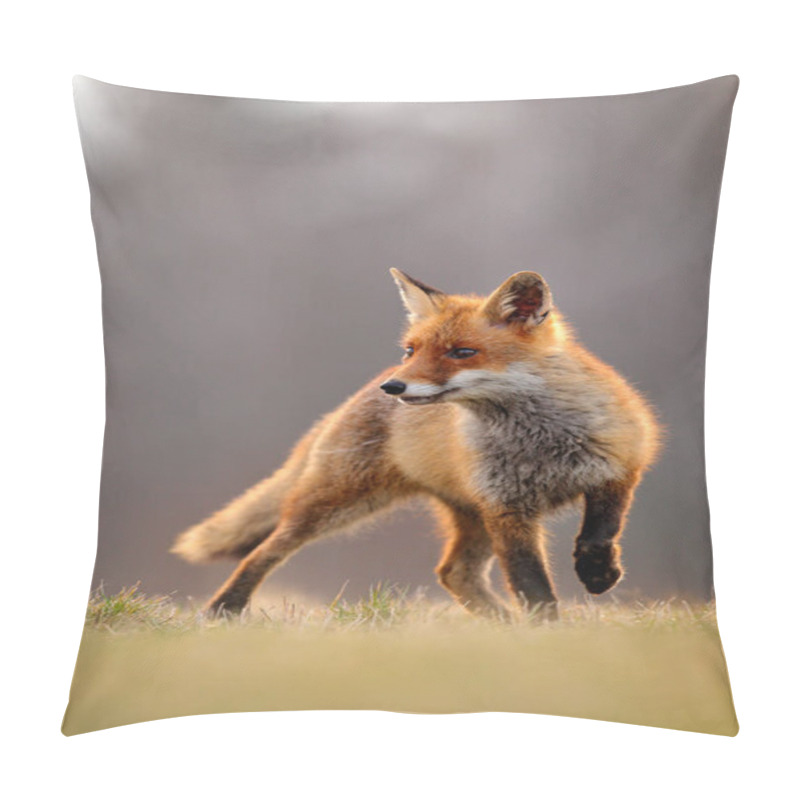 Personality  Red Fox Hunting, Vulpes Vulpes, Wildlife Scene From Europe. Orange Fur Coat Animal In The Nature Habitat. Fox On The Green Forest Meadow.  Pillow Covers