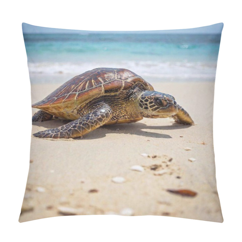 Personality  Turtle On The Beach Pillow Covers