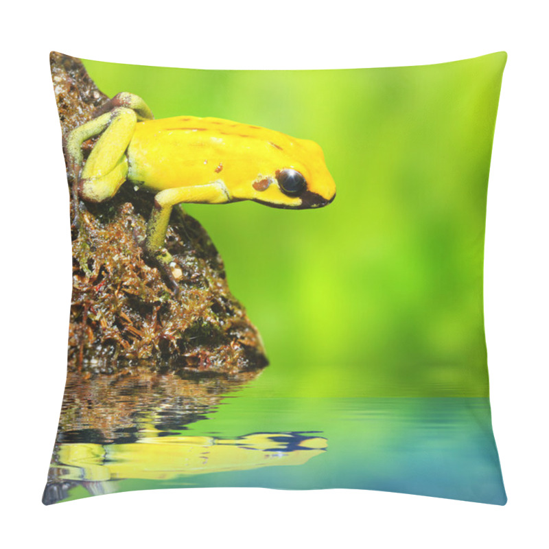 Personality  The Frog (Dendrobates) Pillow Covers