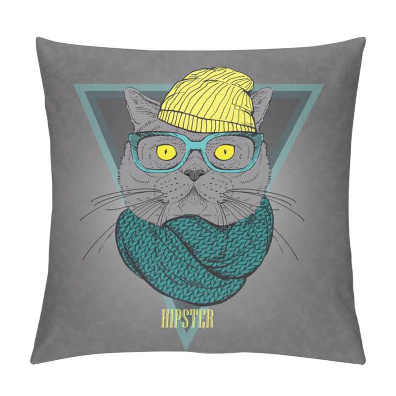 Personality  Hand Drawn Portrait Of Hipster Cat In Geometric Frame Pillow Covers