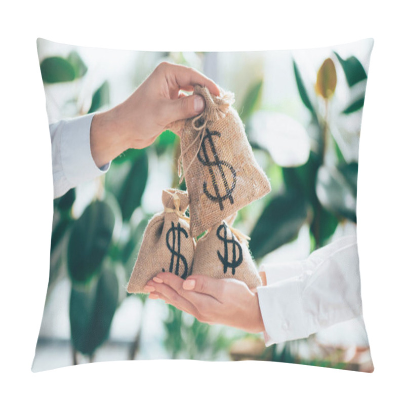 Personality  Partial View Of People Holding Sackcloth Bag With Dollar Sign In Hands  Pillow Covers