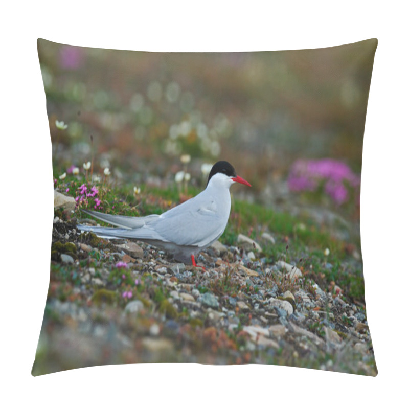 Personality  Arctic Tern Bird With Black Cap Pillow Covers