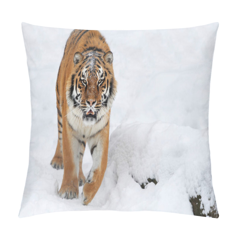 Personality  Tiger In Snow Pillow Covers