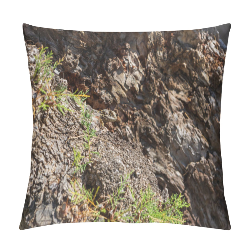 Personality  Small Lizard Among The Stones On The Beach Pillow Covers