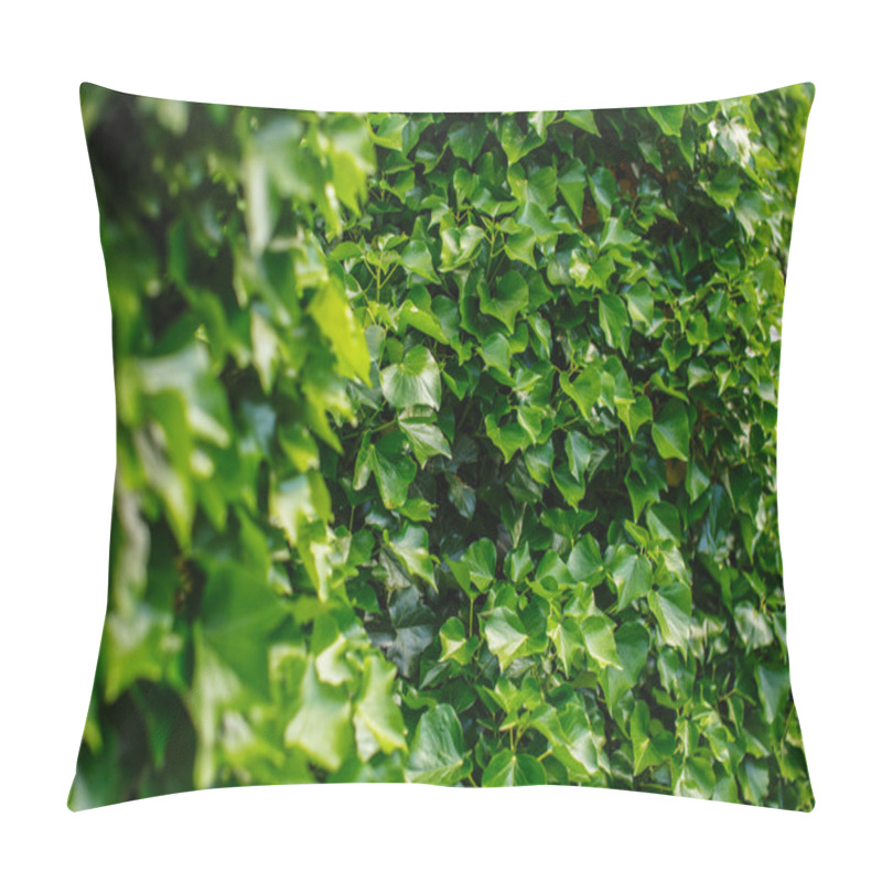 Personality  Green Bushes. Pillow Covers