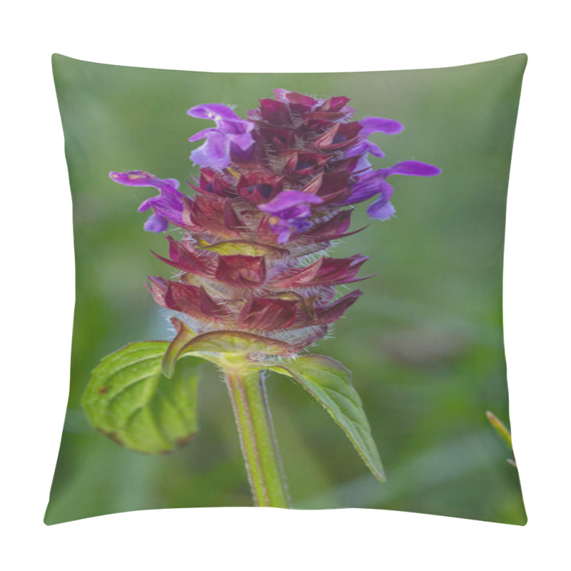 Personality  Beautiful Prunella Vulgaris Are Growing On A Green Meadow. Live Nature. Pillow Covers