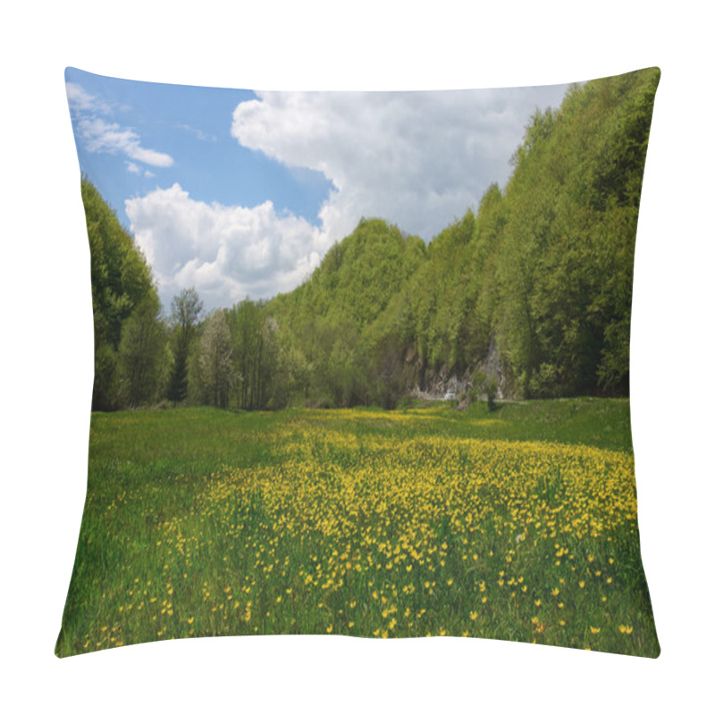 Personality  Montenegro. Flowering Field In The Mountains. Pillow Covers