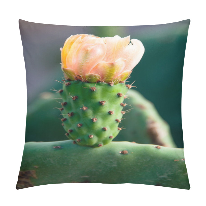 Personality  Yellow Prickly Pear Cactus Flower Pillow Covers