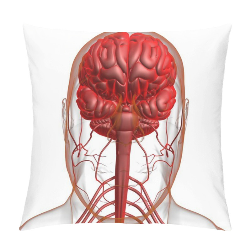 Personality  Human Brain Anatomy For Medical Concept 3D Illustration Pillow Covers