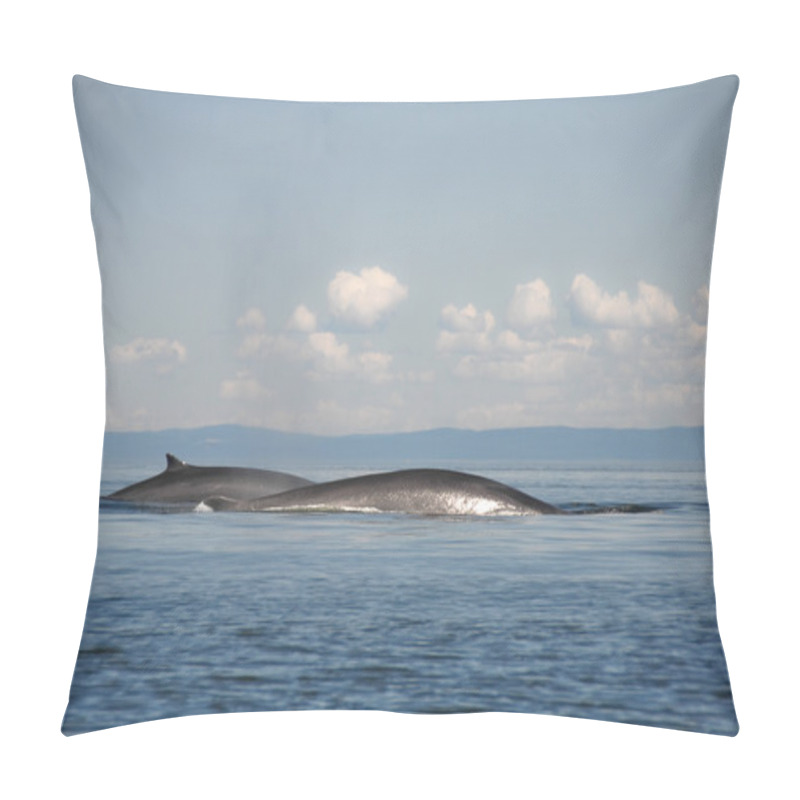 Personality  Fin Whales, St Lawrence River, Quebec (Canada) Pillow Covers