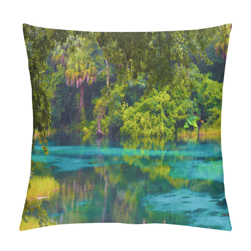 Personality  Beautiful Nature At Rainbow Springs State Park, Dunnellon, FL, USA Pillow Covers