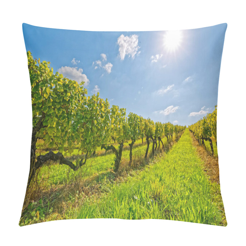 Personality  Vineyard At Sunny Day Pillow Covers