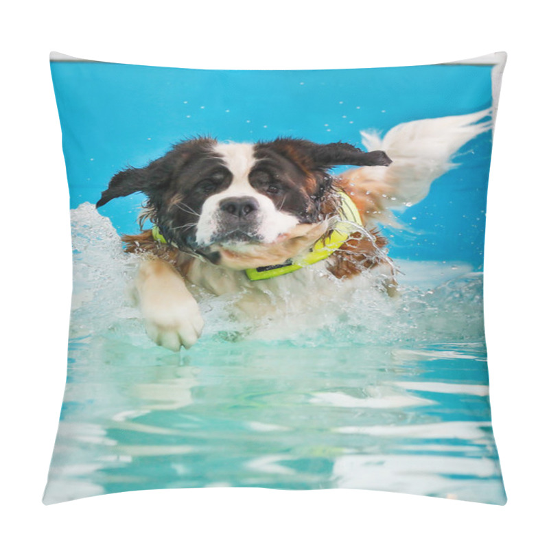 Personality  St Bernard Dog Taking A Swim Pillow Covers