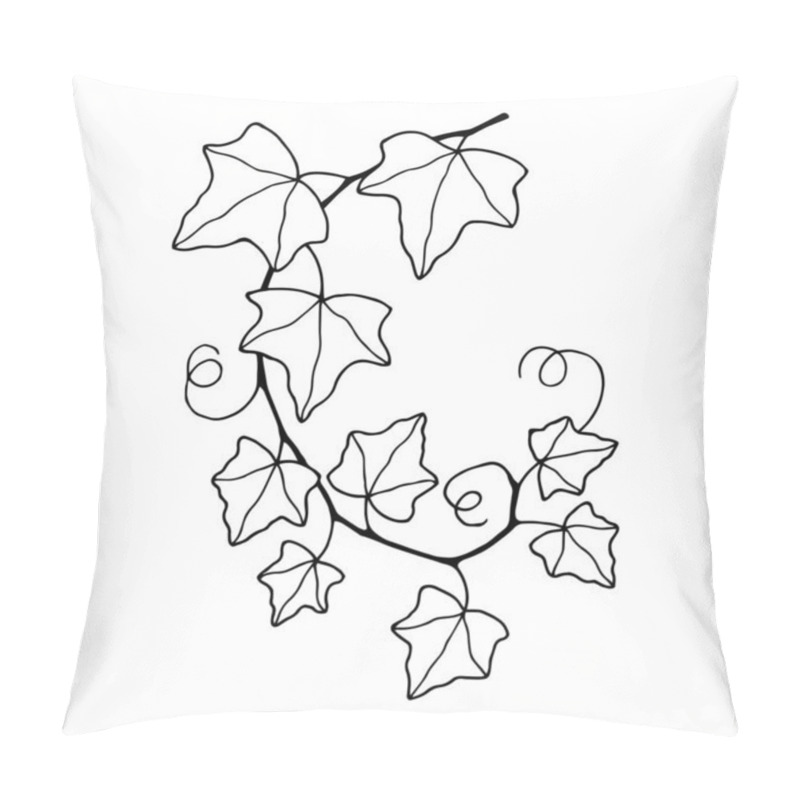 Personality  Common Ivy Plant. Vector Stock Illustration Eps10. Pillow Covers