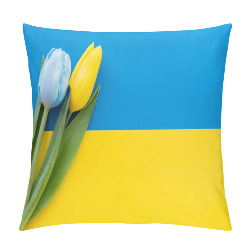 Personality  Top View Of Tulips With Leaves On Ukrainian Flag With Copy Space Pillow Covers