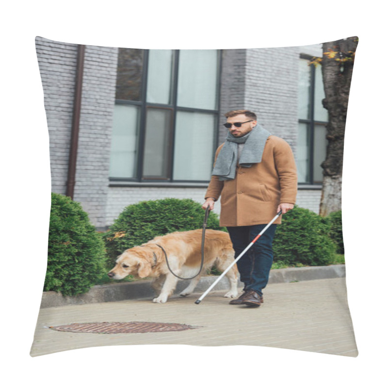 Personality  Blind Man With Walking Stick Holding Leash Of Guide Dog On Street Pillow Covers