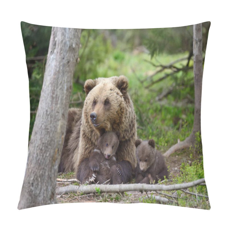 Personality  Brown Bear And Cub Pillow Covers