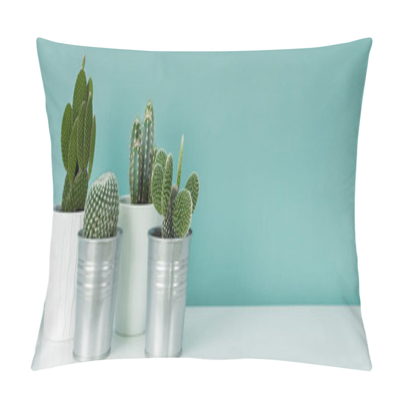 Personality  Modern Room Decoration. Collection Of Various Potted Cactus House Plants On White Shelf Against Pastel Turquoise Colored Wall. Cactus Plants Banner. Pillow Covers