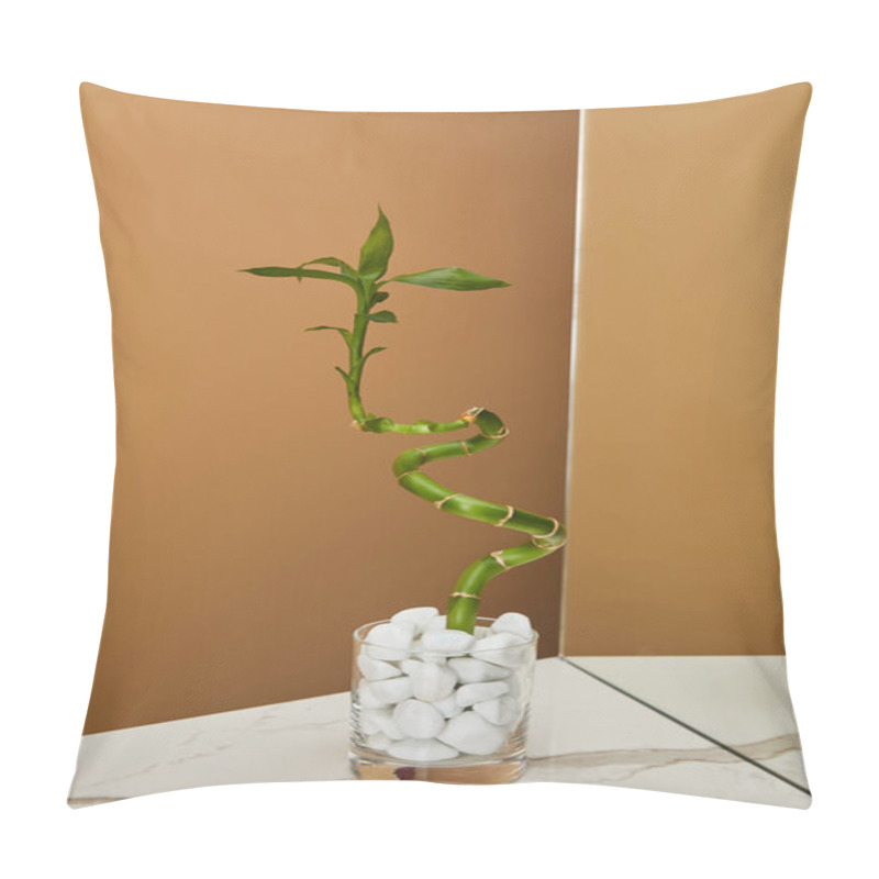 Personality  Bamboo Stem In Vase With Stones And Mirror On White Marble Table And Beige Background Pillow Covers