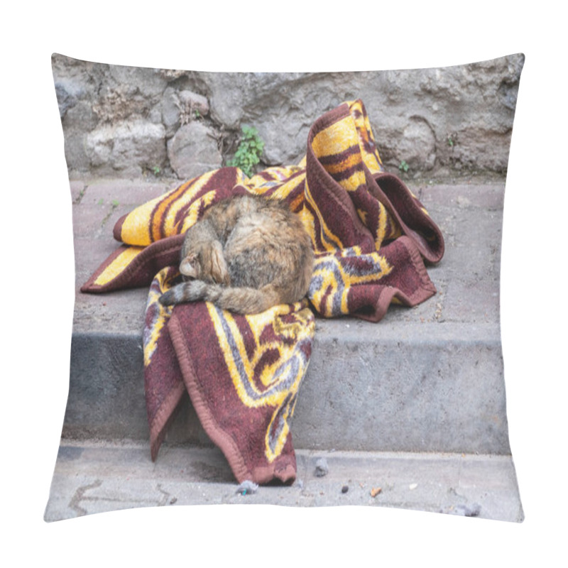 Personality  A Stray Cat Sleeps On A Blanket Lying On Sidewalk. Istanbul, Turkey. Pillow Covers