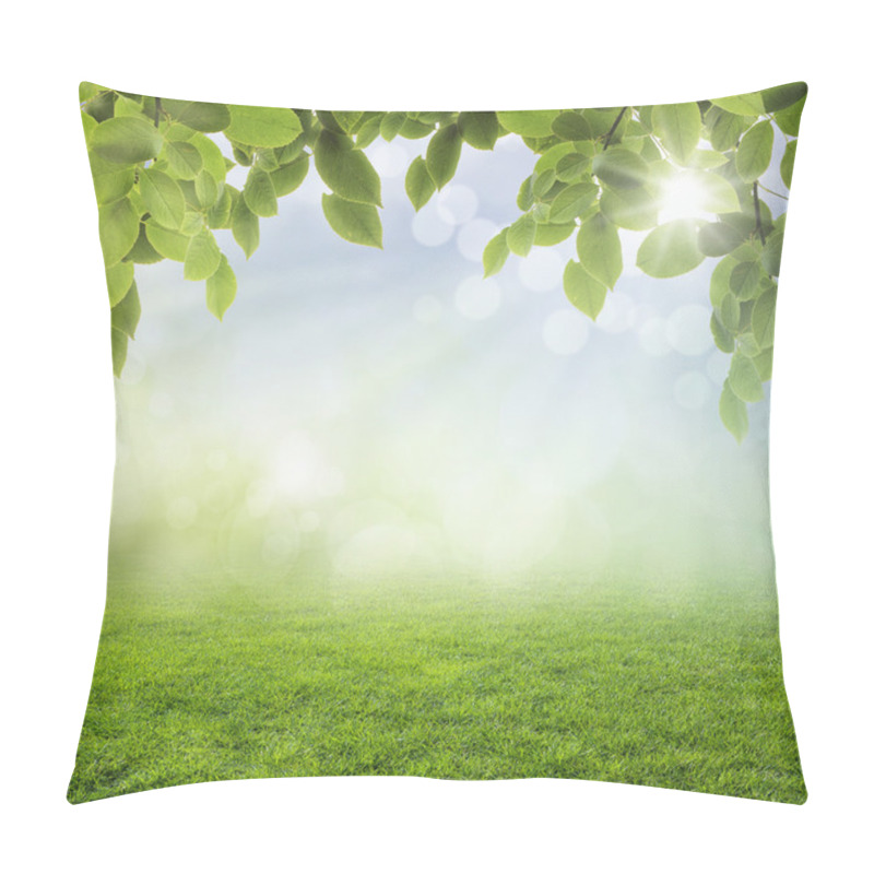 Personality  Abstract Spring Background  Pillow Covers