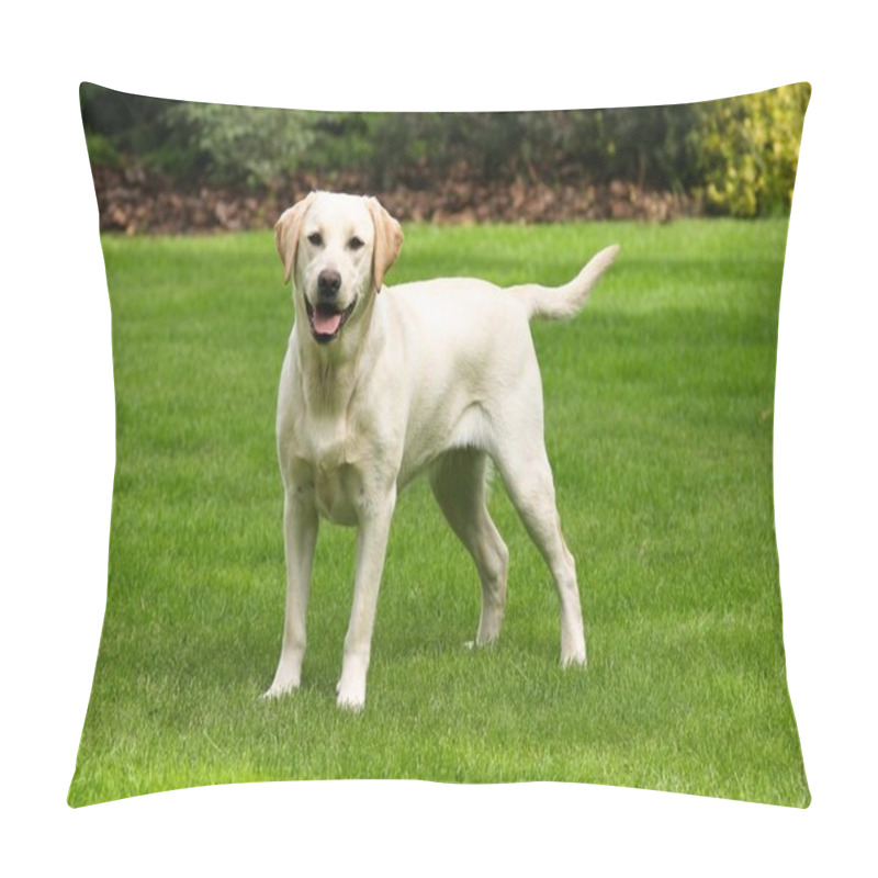 Personality  Yellow Labrador Retriever Pillow Covers