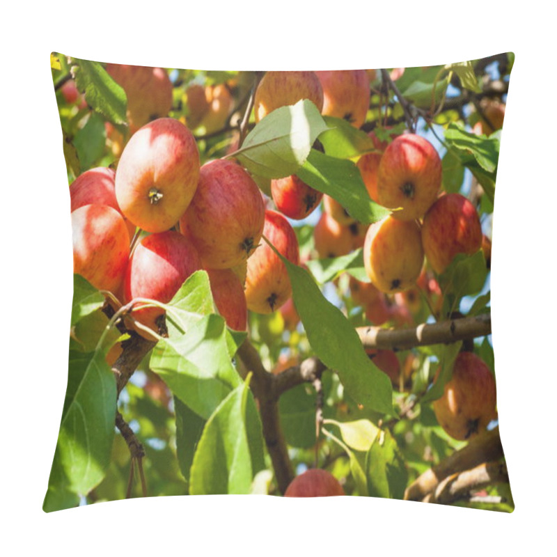 Personality  Crabapple And Wild Apple.  Ittle Apples, Red Green Light, Street Parks Decoration Pillow Covers