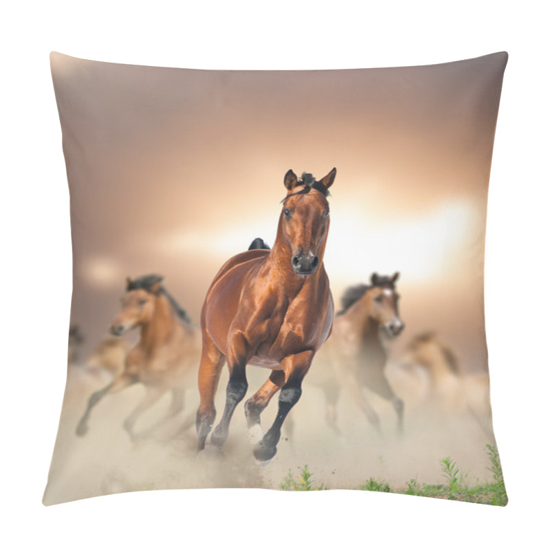 Personality  Herd Of Wild Bay Horses Running In Dust In Sunset Pillow Covers