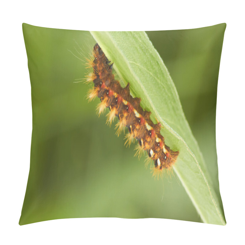 Personality  Catterpillar Pillow Covers