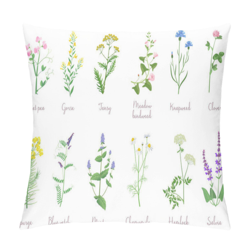 Personality  Wild Herbs Set With Names Isolated. Wildflowers, Herbs, Leafs. Garden And Wild Foliage, Flowers, Branches Vector Illustration. Pillow Covers