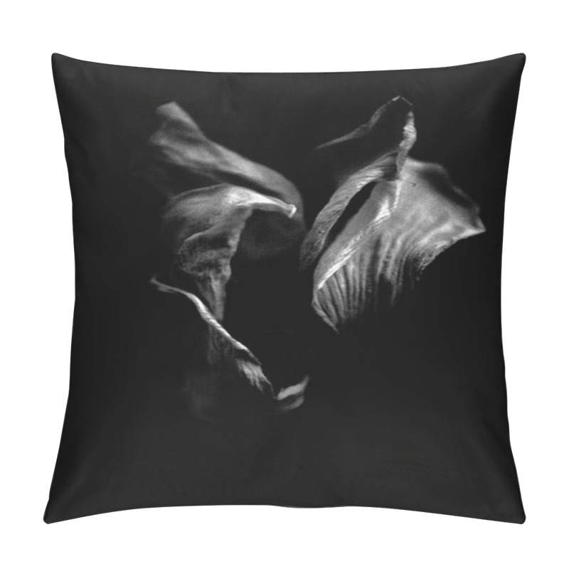 Personality  Dried White Flower. Image In Black And White. Pillow Covers