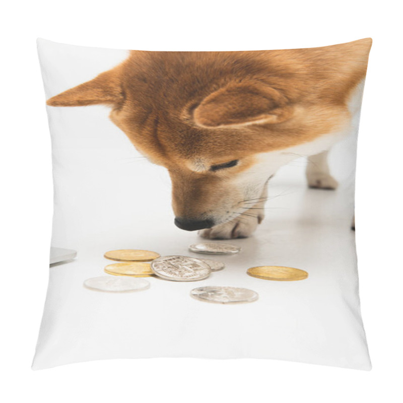 Personality  KYIV, UKRAINE - DECEMBER 22, 2021: Shiba Inu Dog Smelling Silver And Golden Bitcoins On Light Grey Background Pillow Covers