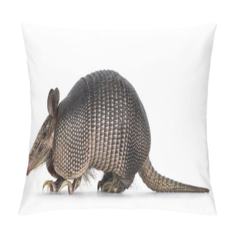 Personality  Nine Banded Armadillo Aka Dasypus Novemcinctus, Walking Side Ways. Looking Side Ways. Isolated On A White Background. Pillow Covers