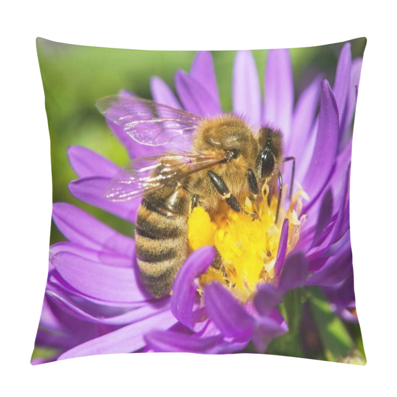 Personality  Detail Of Bee Or Honeybee In Latin Apis Mellifera, European Or Western Honey Bee Sitting On The Yellow Violet Or Blue Flower Pillow Covers