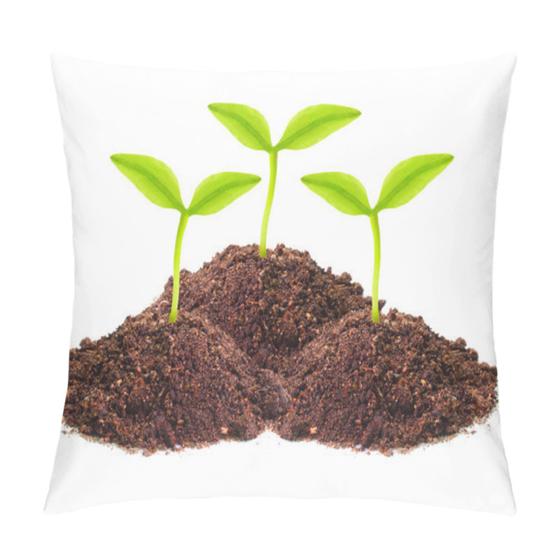 Personality  Seedling Growing In A Soil Pillow Covers