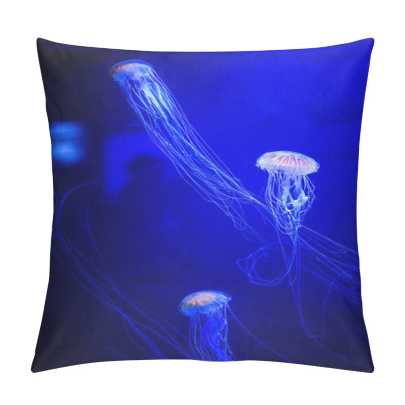 Personality  Beautiful Jellyfish, Medusa In The Neon Light With The Fishes. U Pillow Covers