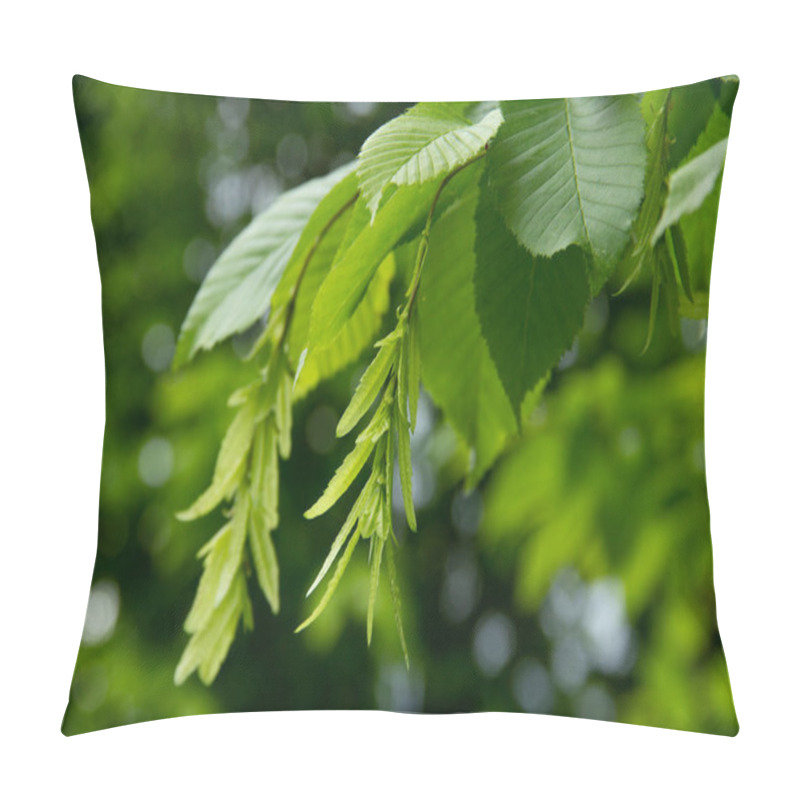 Personality  Hornbeam Branch With Young Leaves And Seeds On A Blurred Green Background. Pillow Covers