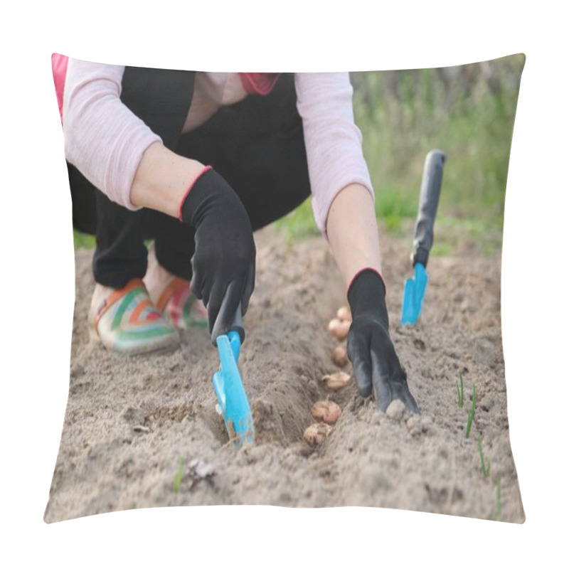 Personality  Springtime Spring Seasonal Work, Planting In Cultivated Soil Of Flower Bulbs Gladiolus Pillow Covers