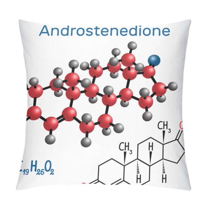 Personality  Androstenedione Androgen Steroid Hormone - Structural Chemical Formula And Molecule Model Pillow Covers