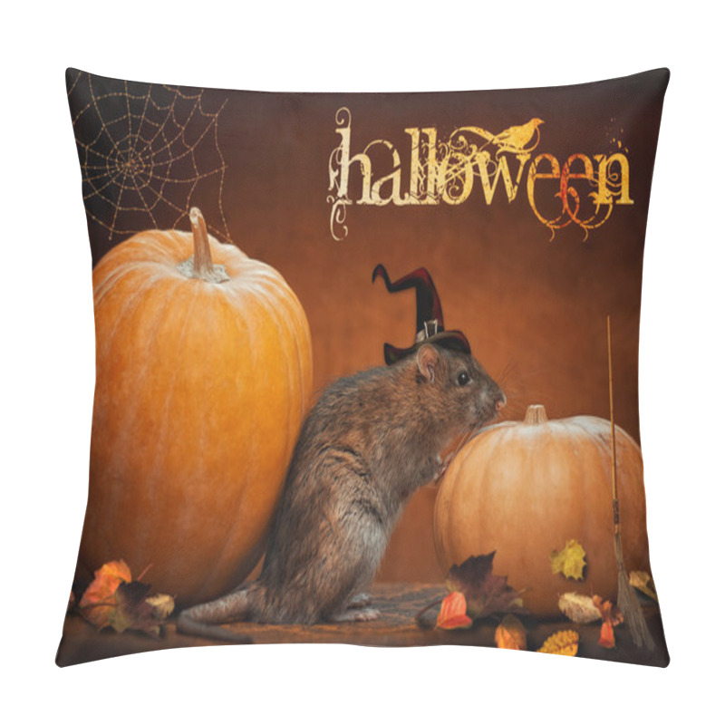 Personality  Wild Rat With Pumpkins Pillow Covers