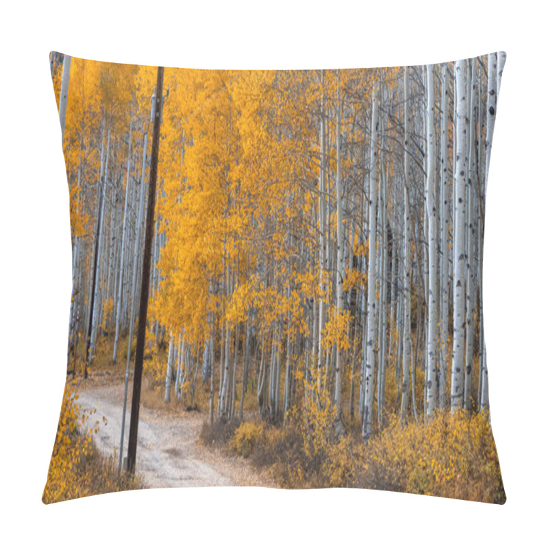 Personality  Panoramic View Of Scenic Autumn Alley In Wasatch Mountain State Park In Utah. Pillow Covers