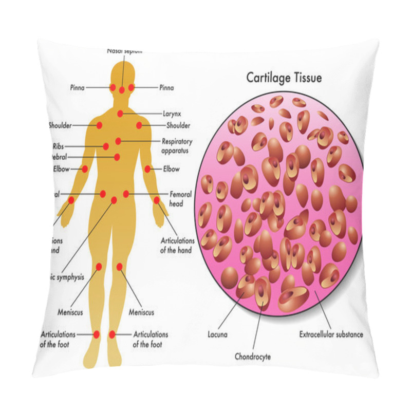 Personality  Human Cartilage Tissue Pillow Covers