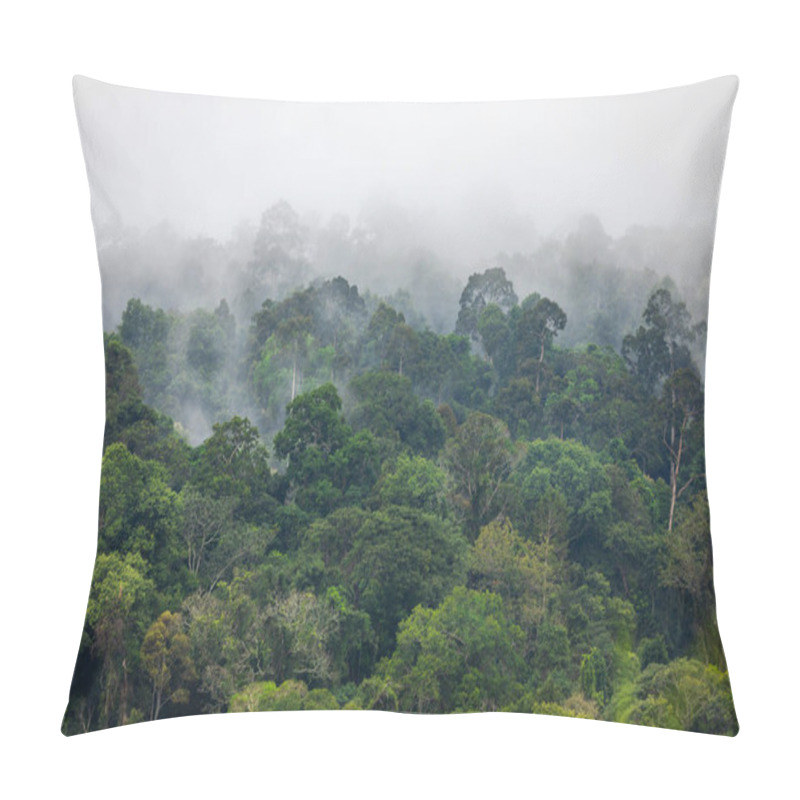 Personality  Fog Covers Greenery Area Inside Tropical Rainforest In Rainy Season. Pillow Covers