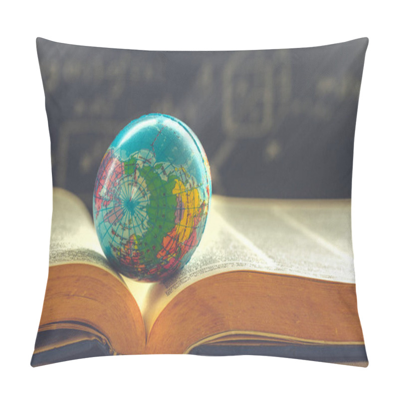 Personality  World Globe On  Book. Education School Concept Pillow Covers