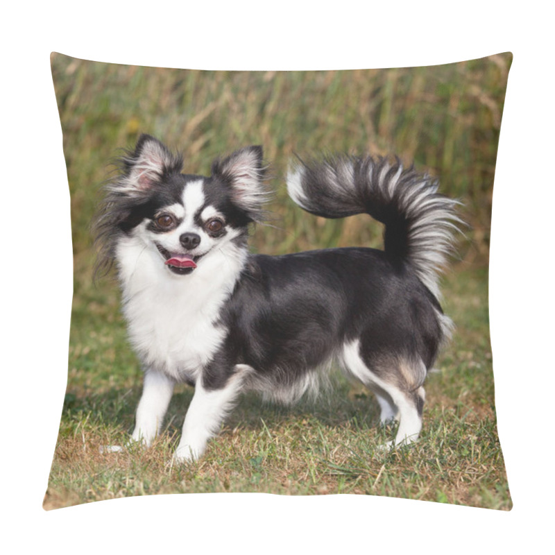 Personality  Portrait Of Nice Chihuahua Dog Pillow Covers