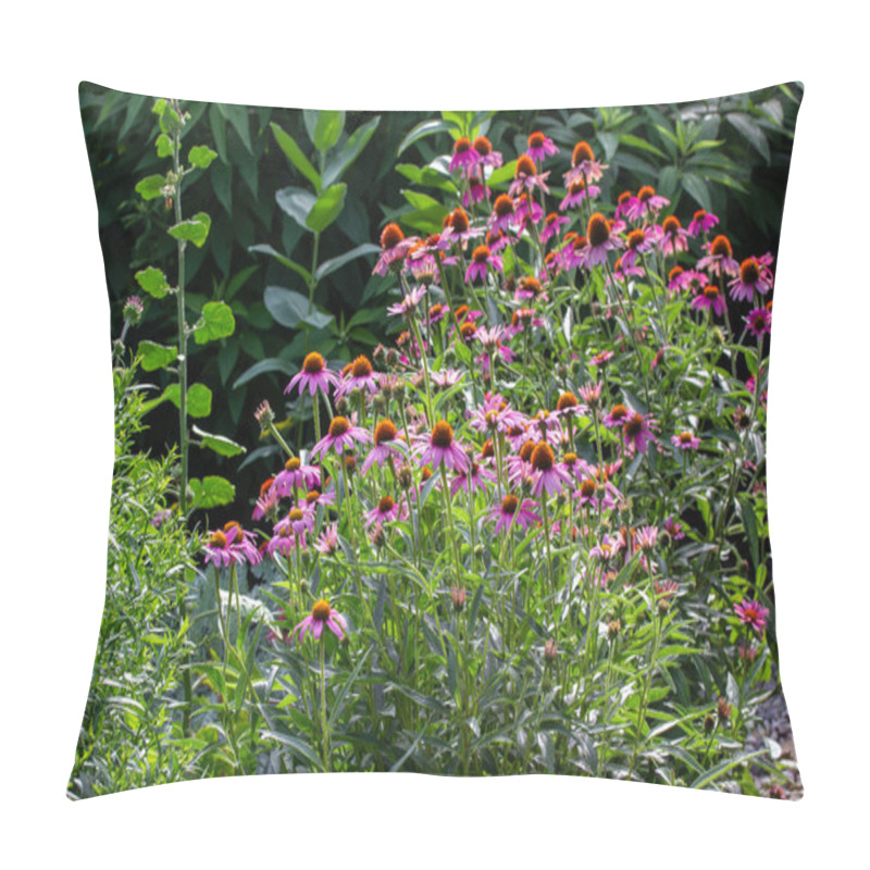 Personality  Sunny Garden Of Purple Coneflowers In Full Sunlight Pillow Covers