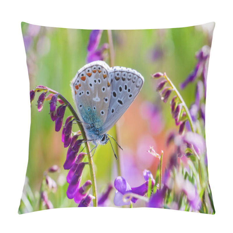 Personality  Macro Shots, Beautiful Nature Scene. Closeup Beautiful Butterfly Sitting On The Flower In A Summer Garden. Pillow Covers