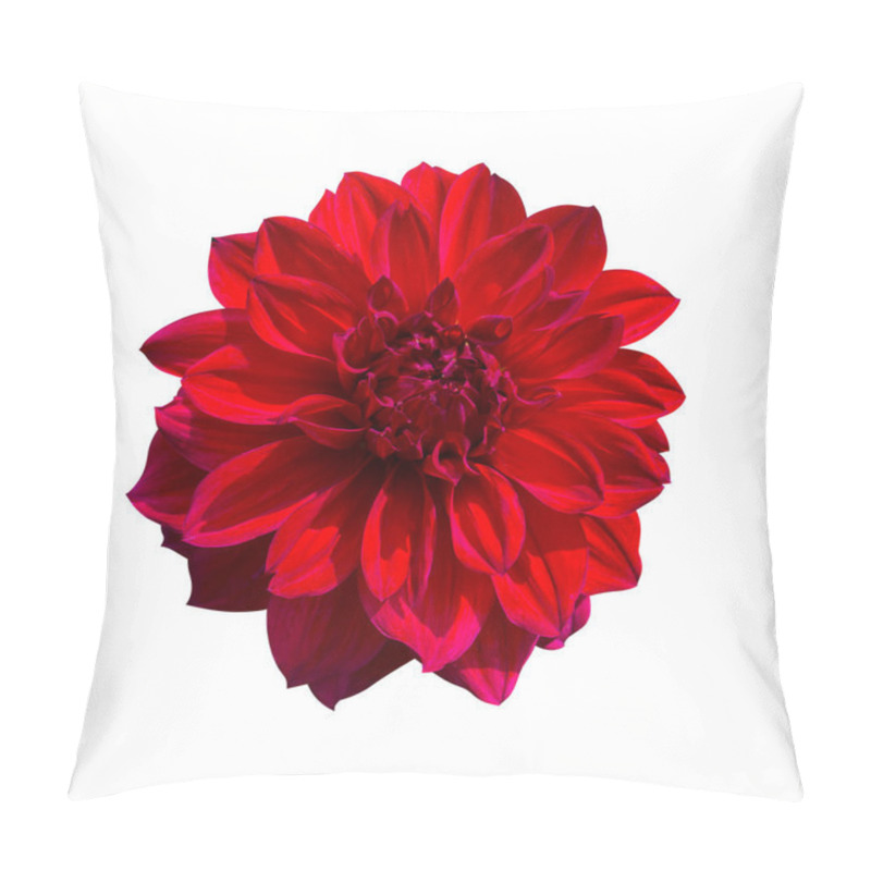 Personality  Red Dahlia Flower. Beautiful Dahlia Flower Pillow Covers