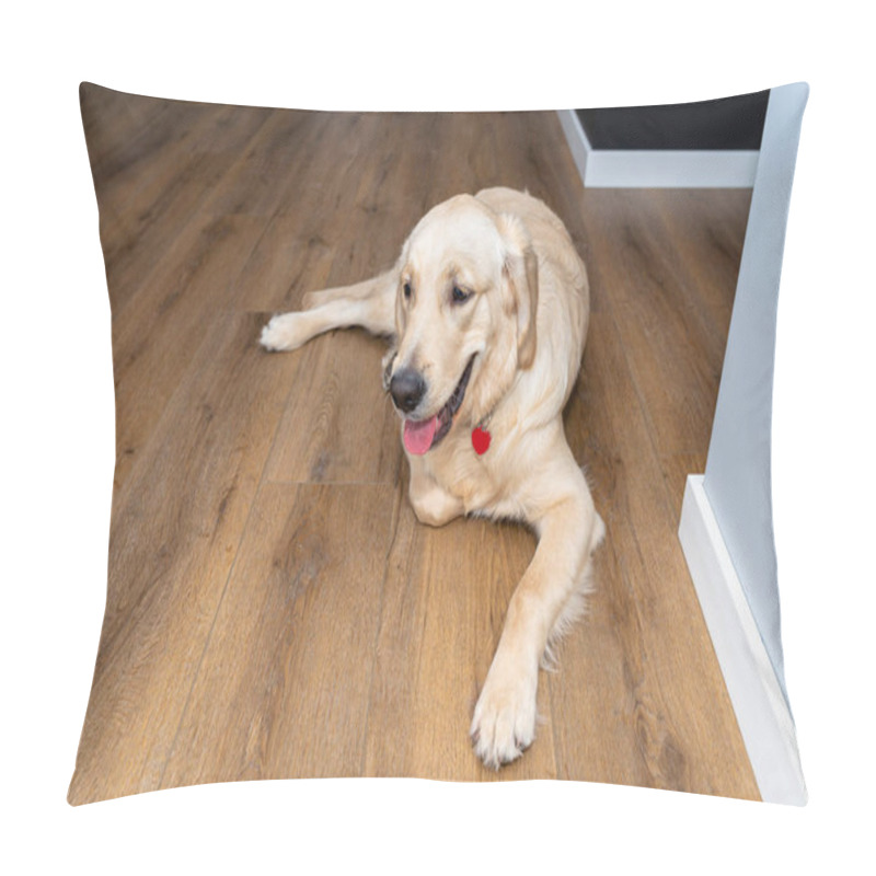 Personality  A Young Male Golden Retriever Lies On Modern Vinyl Panels In The Living Room Of A Home, Furniture Visible In The Background. Pillow Covers