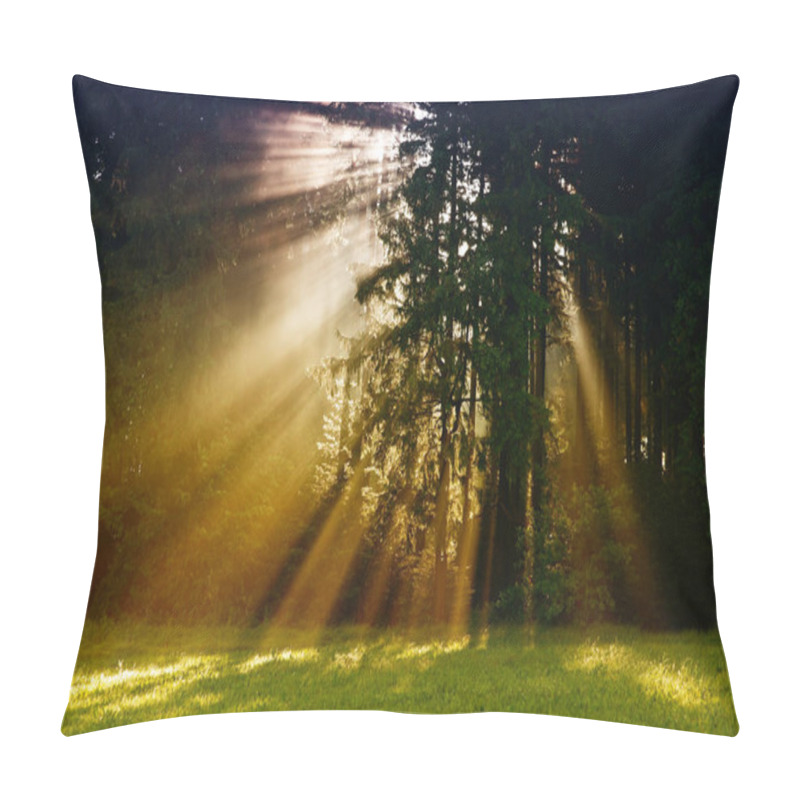 Personality  Black Forest In Germany. Morning Sun Shines Through The Golden Foggy Woods. Magical Summer Morning Time. Romantic Background. Sunrays Before Sunrise. Dreamy Travel Background. Pillow Covers